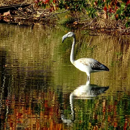 Il Belvedere - Cannelle Argentario - Tuscany *